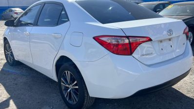 TOYOTO COROLLA LE 2019
