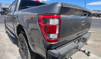 
									FORD LOBO TREMOR 2023 full								