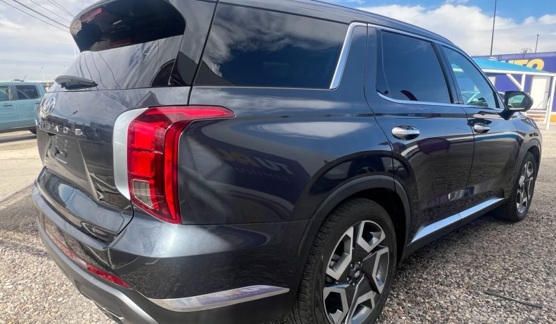 
								HYUNDAI PALISADE 2024 full									
